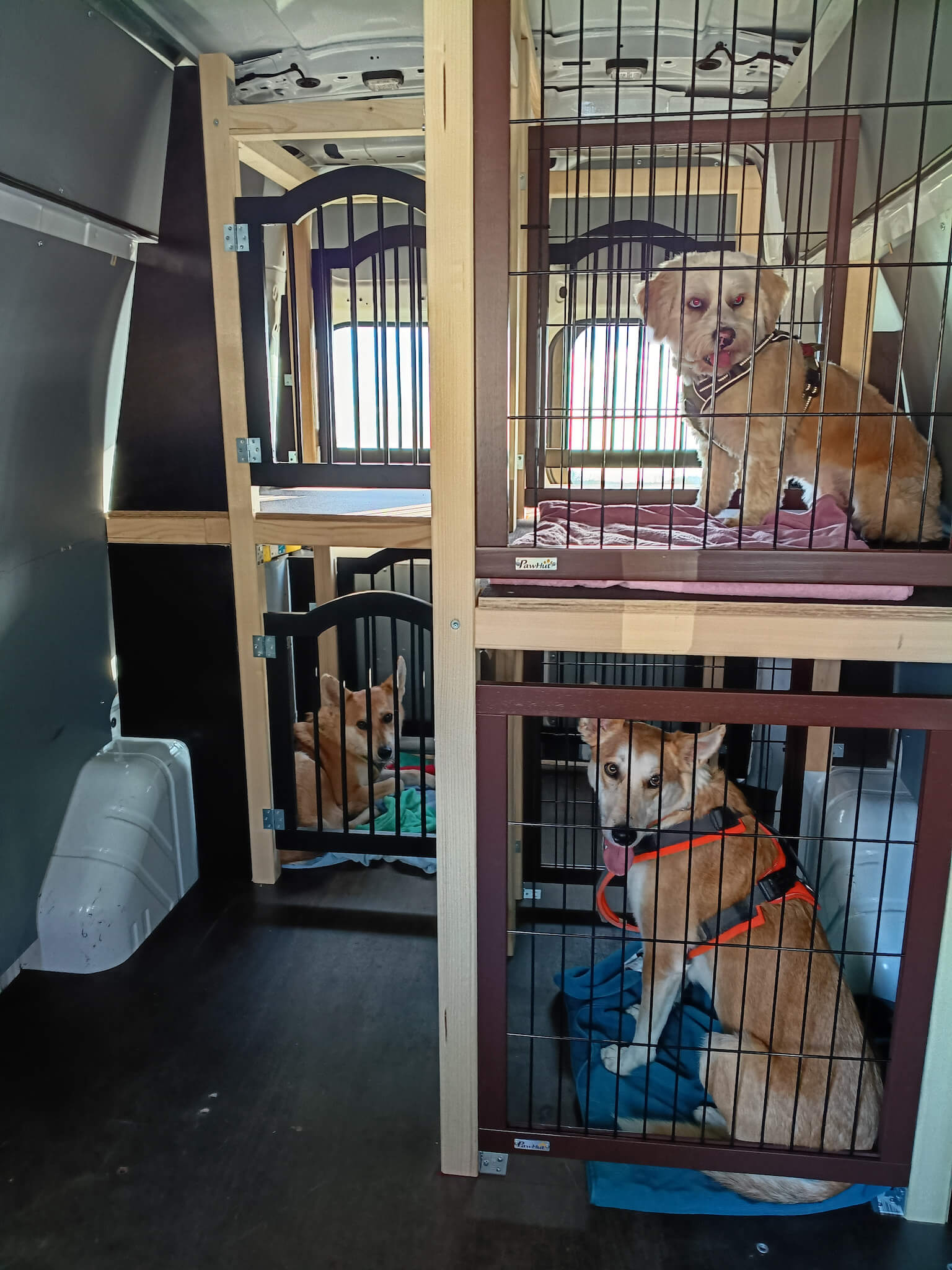 Sichere Transportbox und ausreichend Platz.